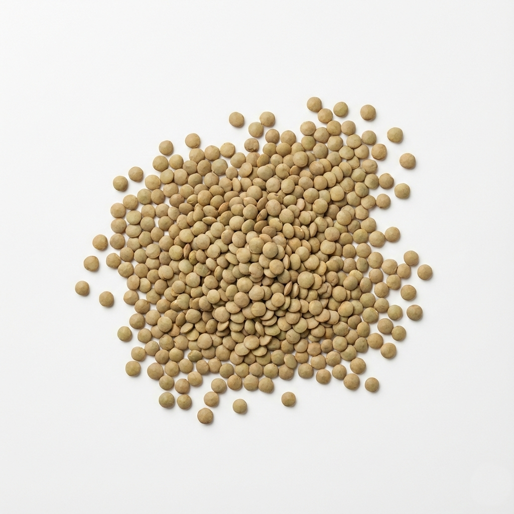 Чечевица зелёная